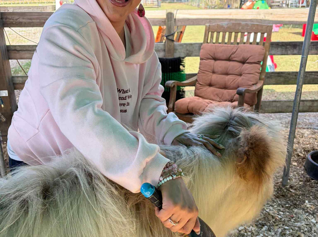 Rooterville Animal Sanctuary-Melrose必去景点