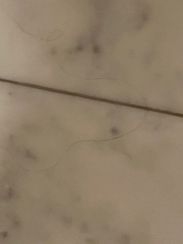 凯撒经典酒店-客卧