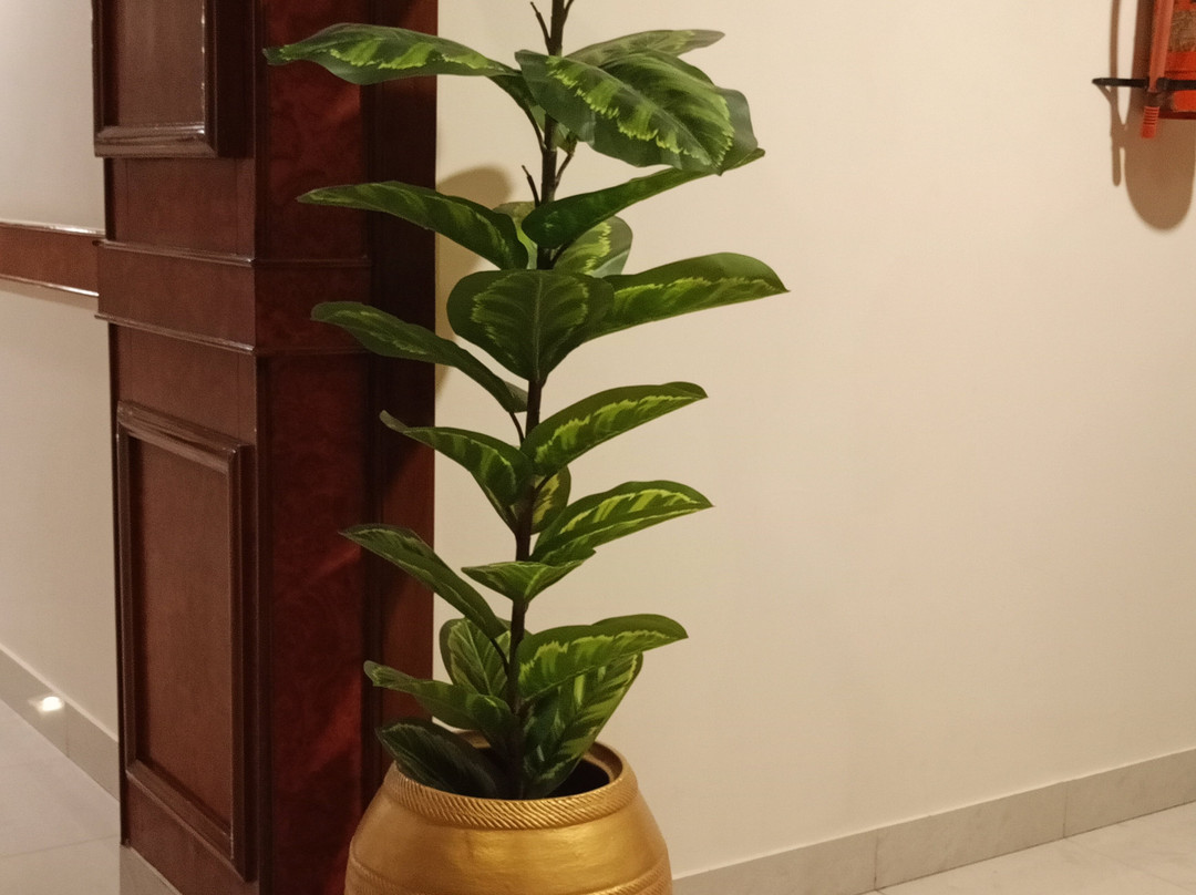 Hotel The Grand Regency主图