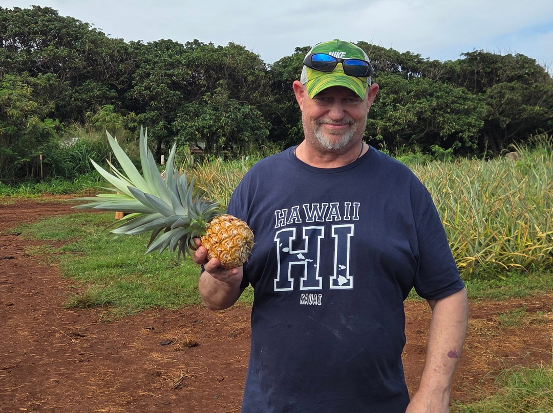 Sugarloaf Pineapple Farm-基拉韦厄必去景点