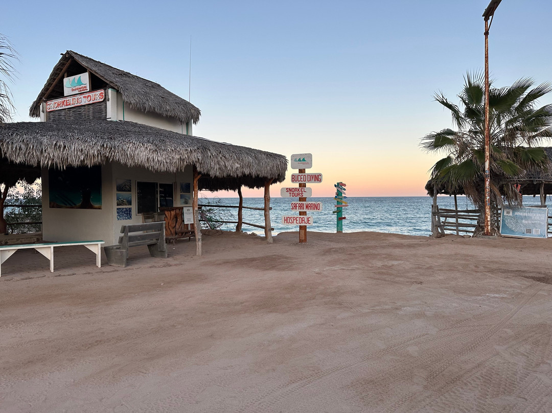 Cabo Pulmo Eco Adventures-Cabo Pulmo必去景点