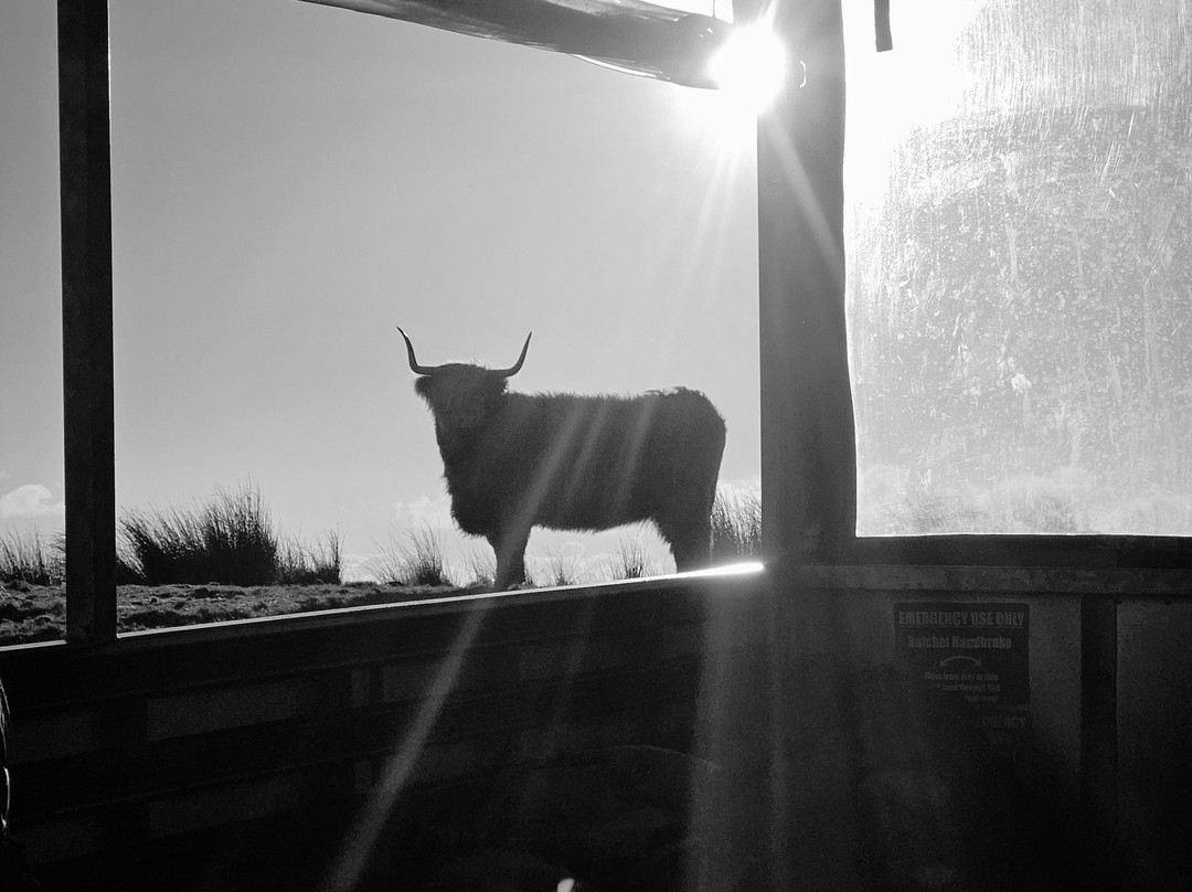 Kitchen Coos & Ewes-New Luce必去景点