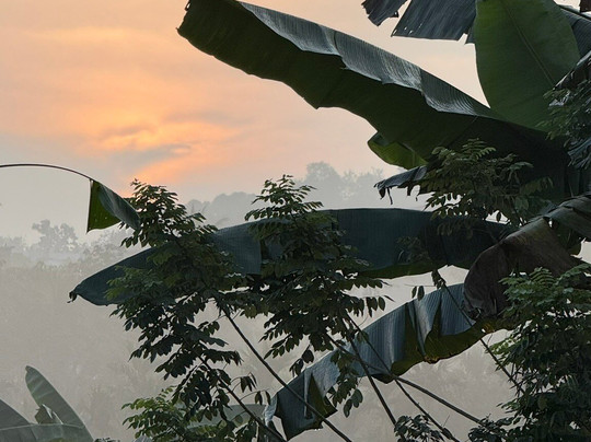 Indimasi - The Healing Village主图