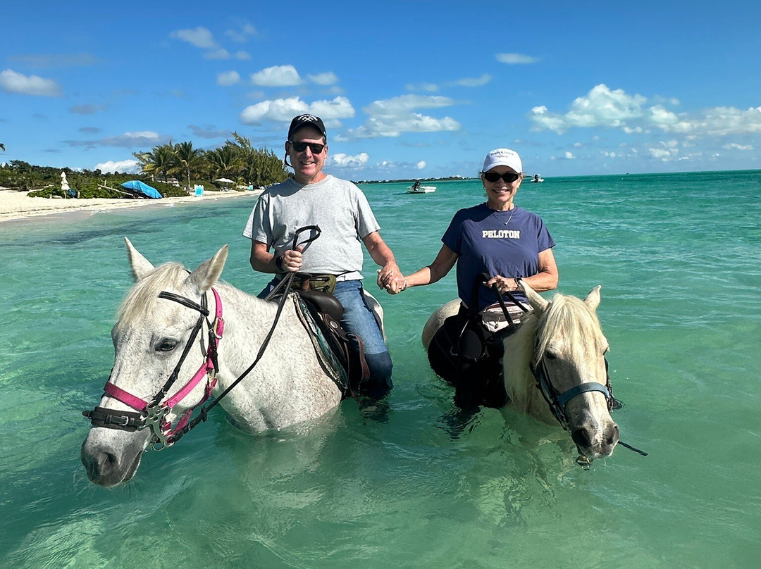 Provo Ponies-Long Bay Hills必去景点