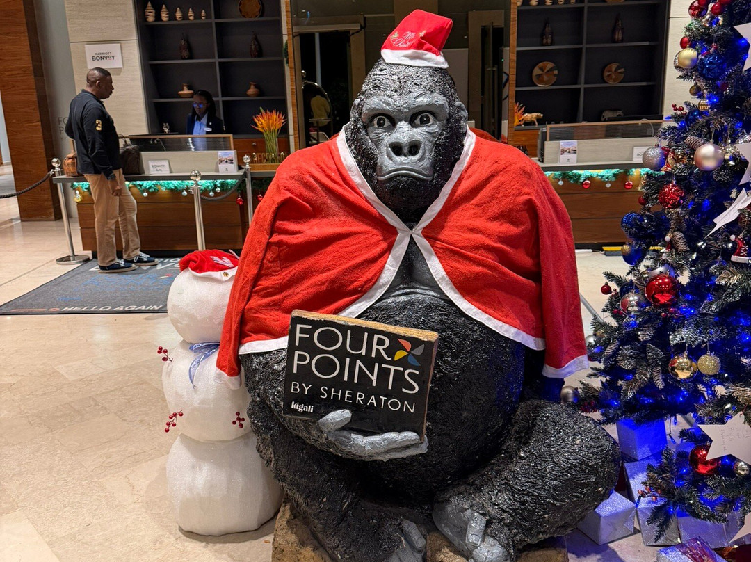 Four Points by Sheraton Kigali主图