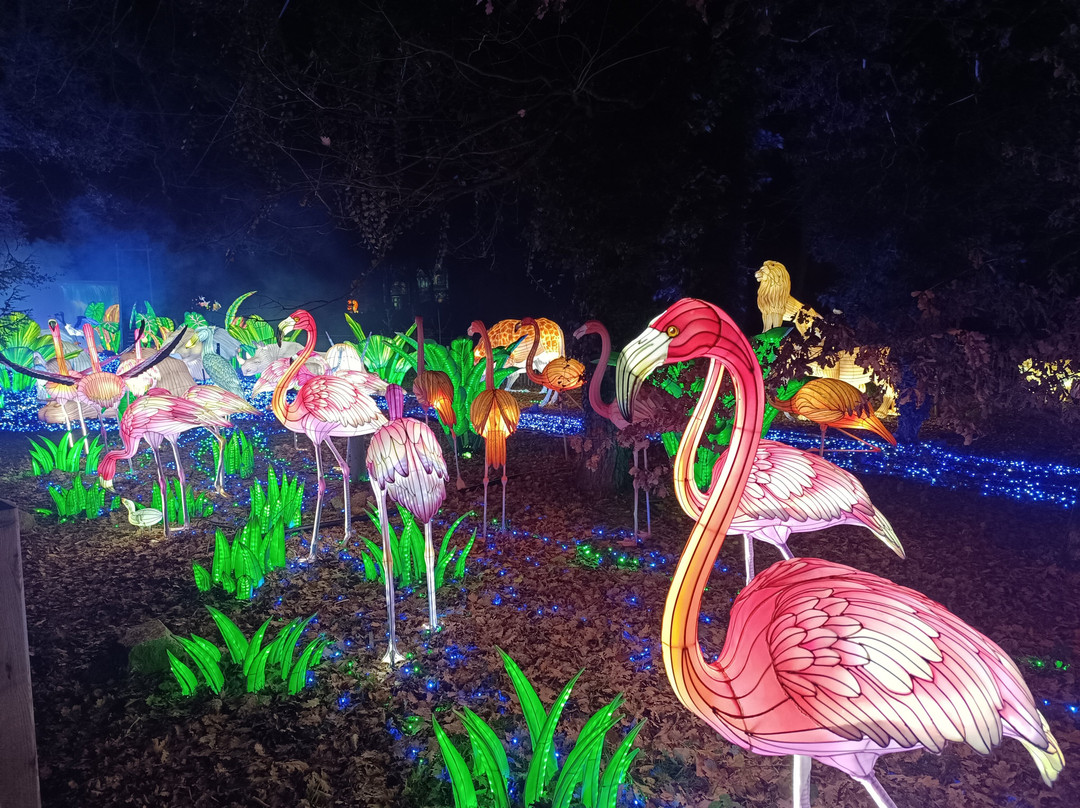 Safari De Peaugres-Peaugres必去景点