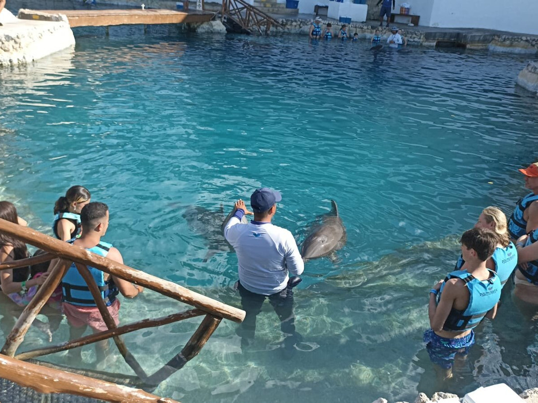Dolphinaris-考祖梅必去景点