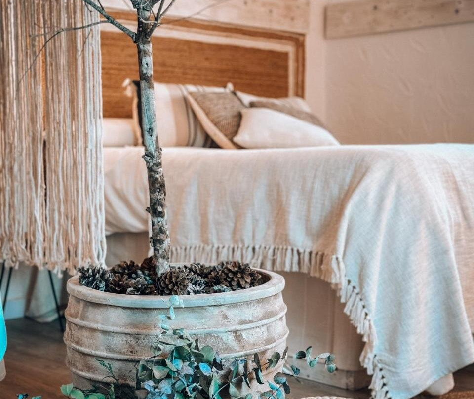 Bubble Suite Canyelles