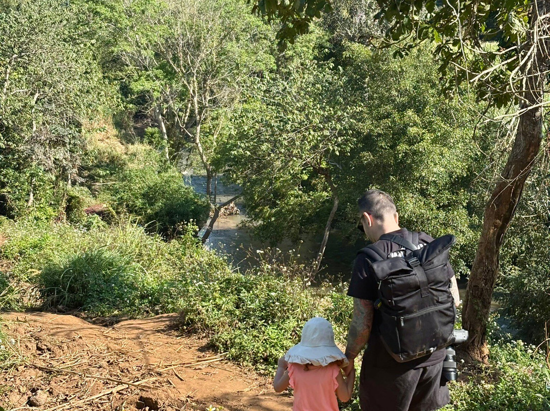 Elephant Sanctuary Care Park-清迈必去景点