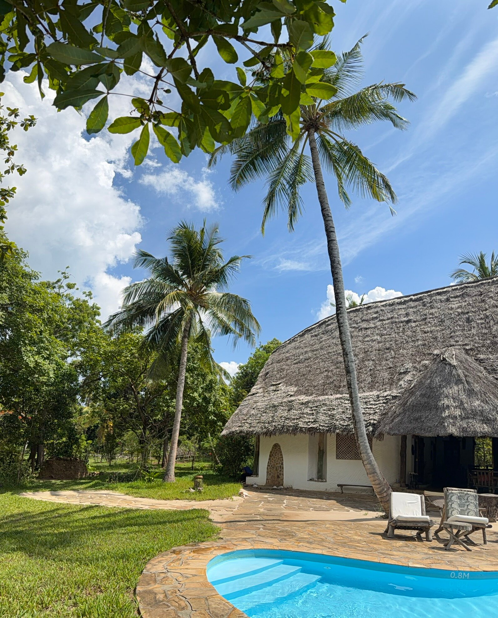 Eco Shamba Kilole Lodge-官方