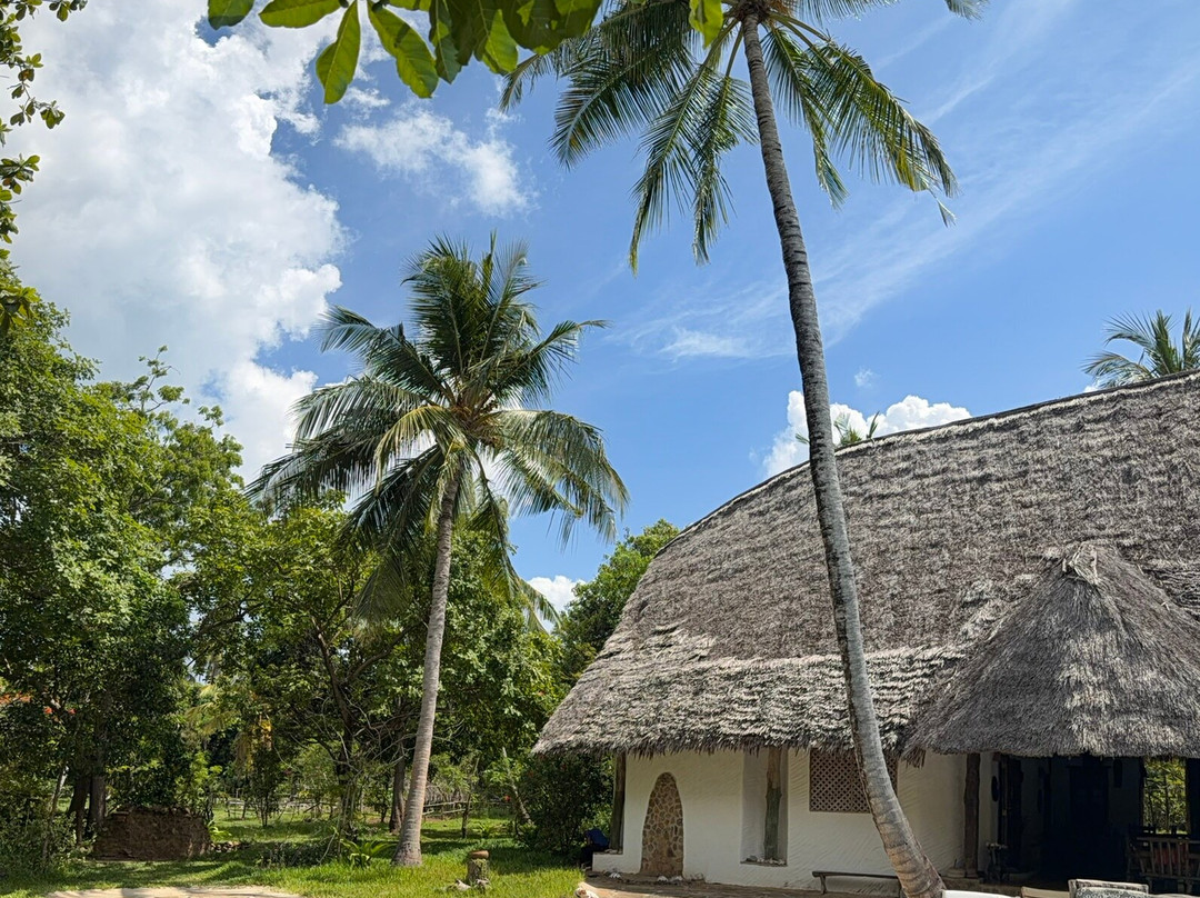 Eco Shamba Kilole Lodge主图