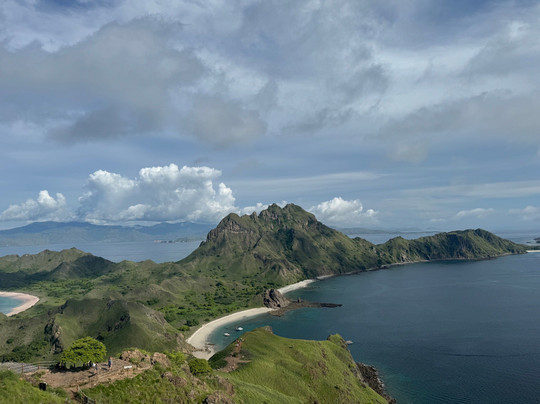 Red Whale Dive Center & Tours-Labuan Bajo必去景点