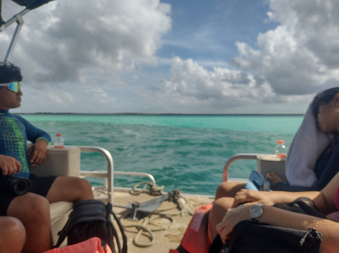 Wild Bacalar Adventures - Sailing & Pontoon Tours-Bacalar必去景点