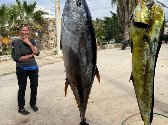 Gordo Banks Pangas-圣何塞卡波必去景点
