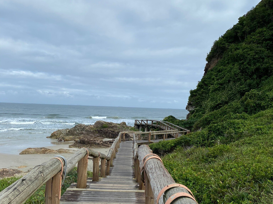 Gruta das Encantadas-Ilha do Mel必去景点