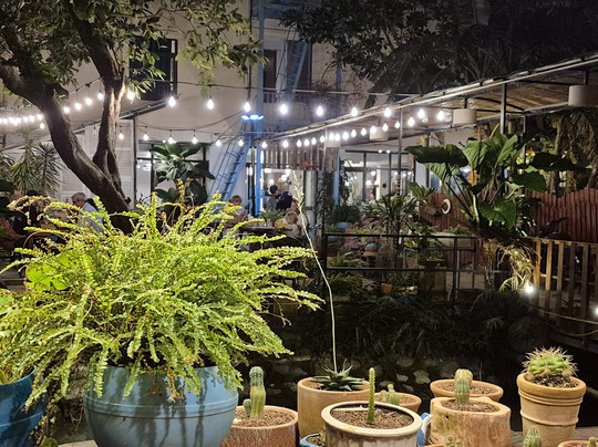 Hotel De Condor主图