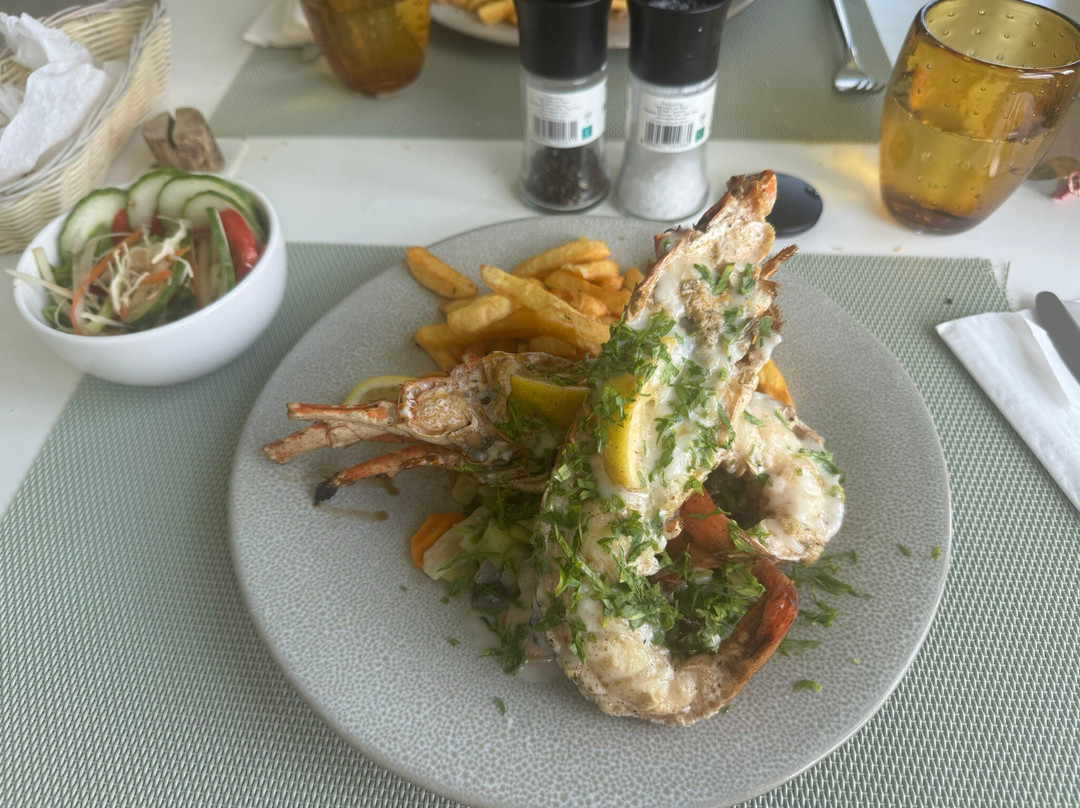 鹿岛酒店住宿-态度热带