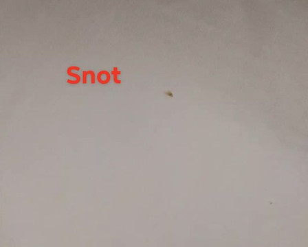 Junction Motel Wagga主图