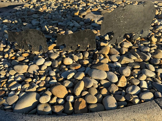 Great Smokies Inn主图