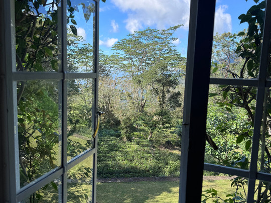 The Planters House主图