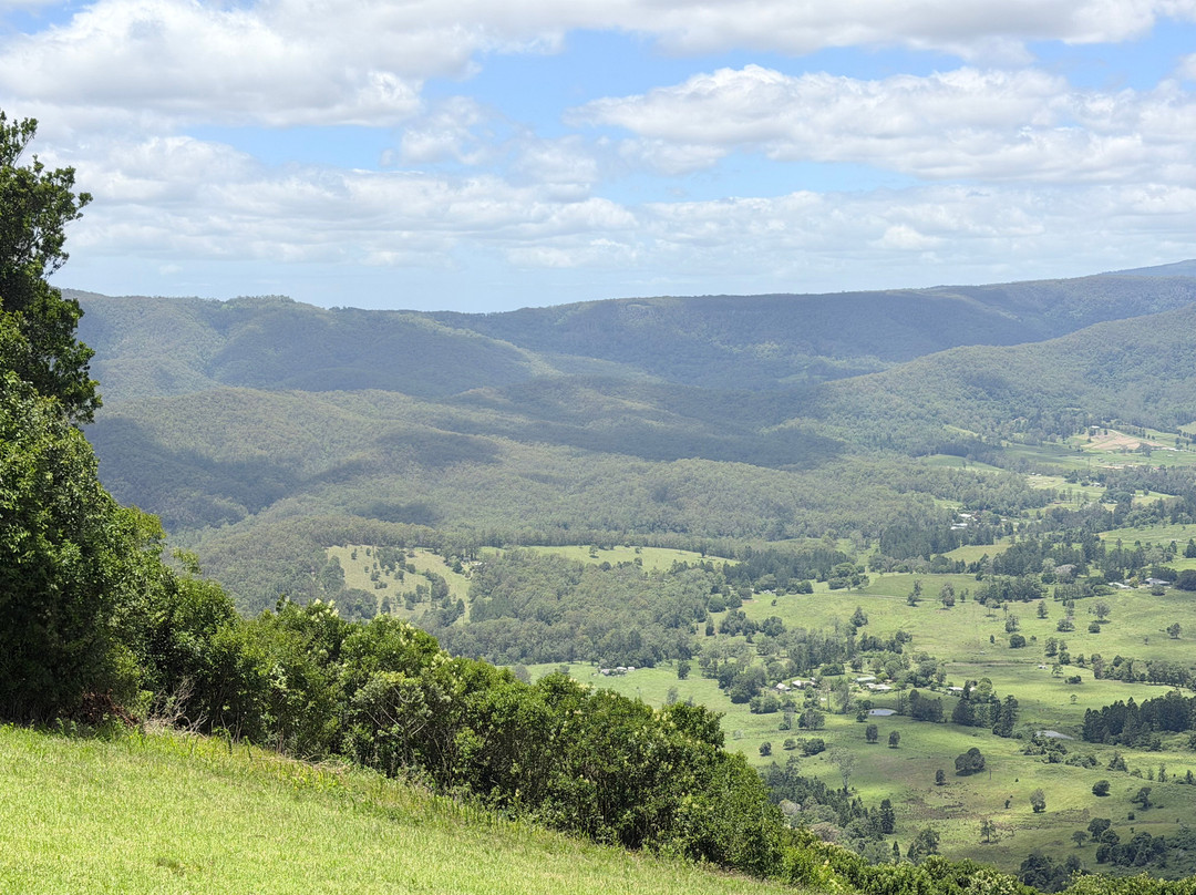 Beechmont Estate主图