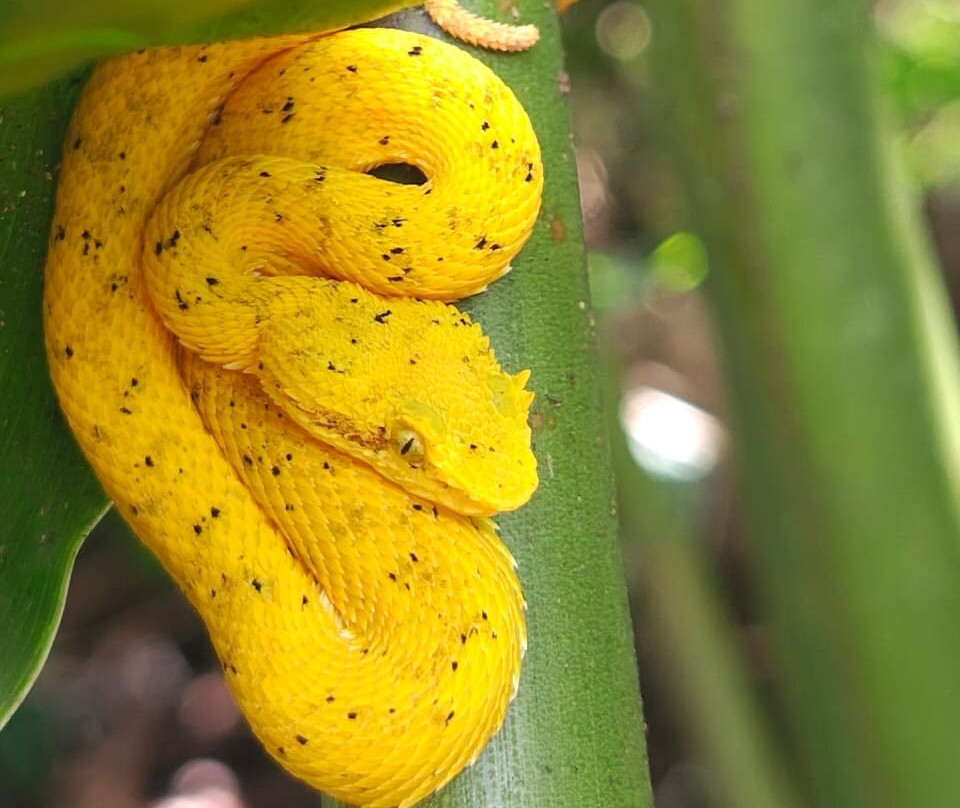 Matt's Fishing & Tours-萨迪纳尔必去景点