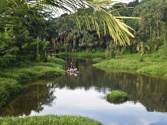 Peru Amazon Expeditions-Manu必去景点