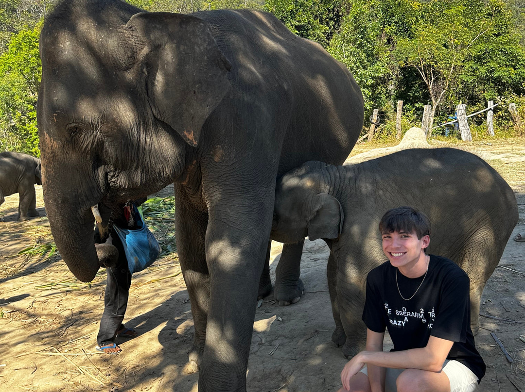 Pon Elephant Thailand-清迈必去景点