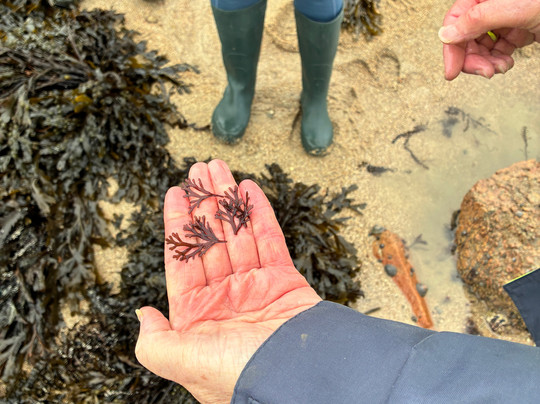 Jersey Walk Adventures-St. Helier必去景点