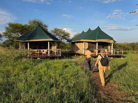 Migration Venture Africa-莫西必去景点