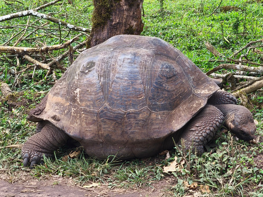 Reserva El Chato-阿约拉港必去景点