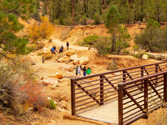 Mossy Cave Trail-布莱斯峡谷国家公园必去景点