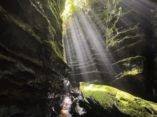 Tasmanian Expeditions-Invermay必去景点