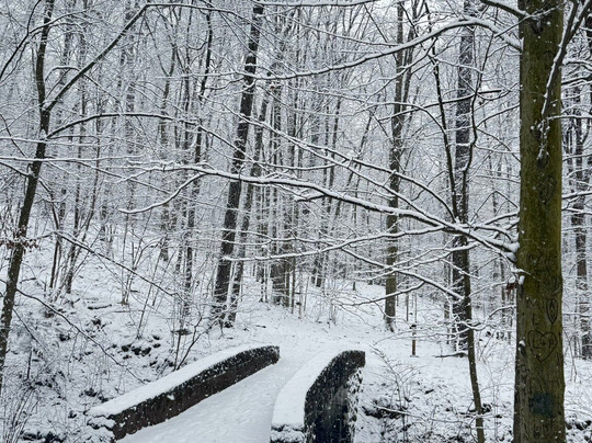 South Mountain Fairy Trail-Millburn必去景点