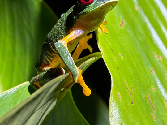 Uvita Information Center-乌维塔必去景点