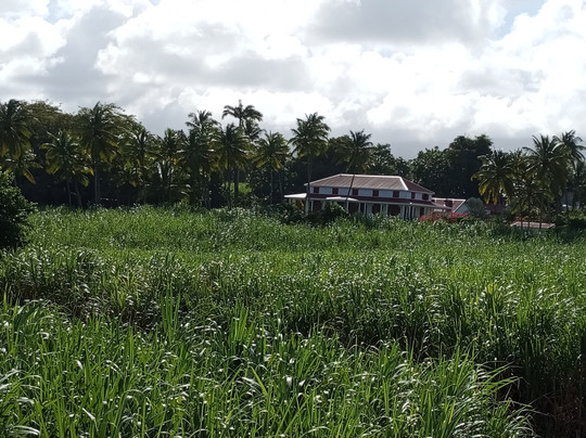 Rhumerie Karukera-Capesterre-Belle-Eau必去景点