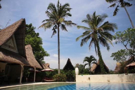 巴龙蝴蝶度假村主图