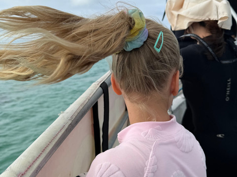 Lobster Shack Sea Lion Tour-塞万提斯必去景点