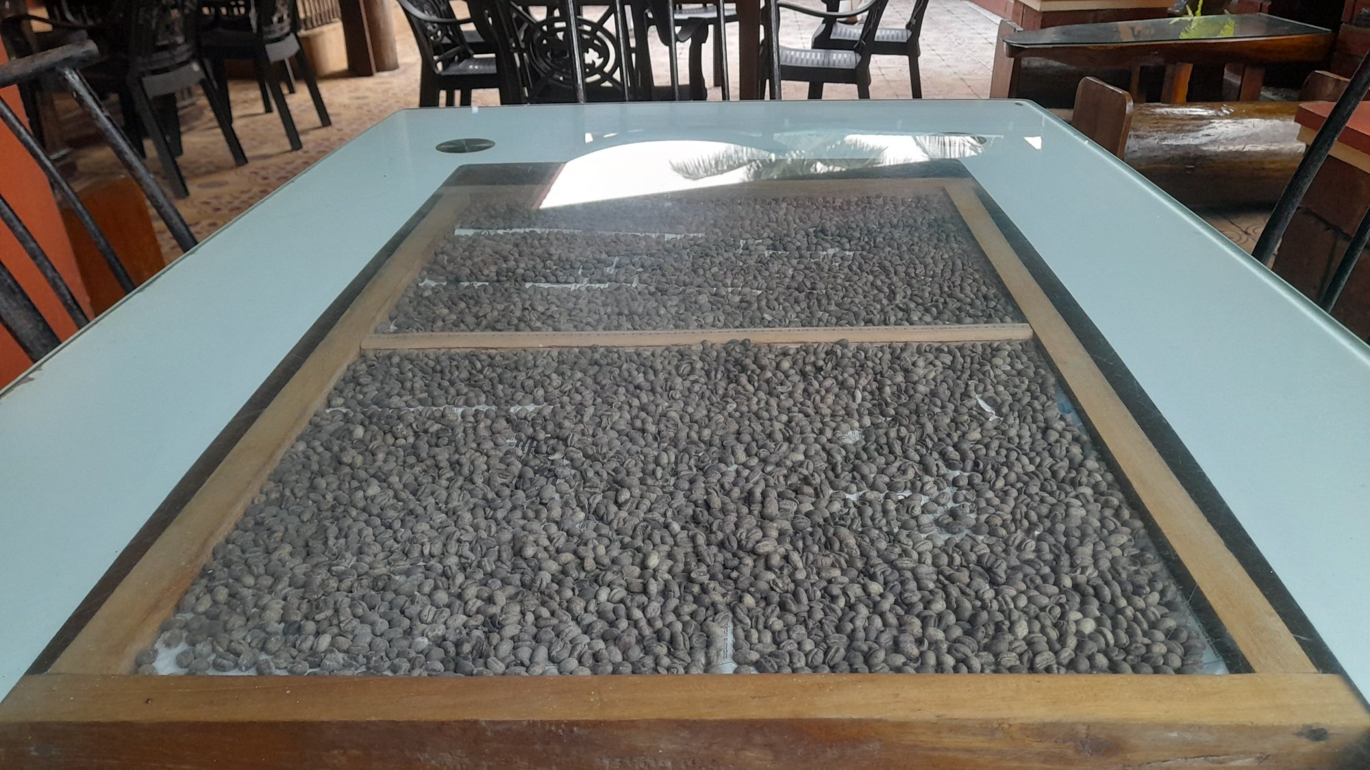 Coffeebean Home Stay Chikmagalur-官方