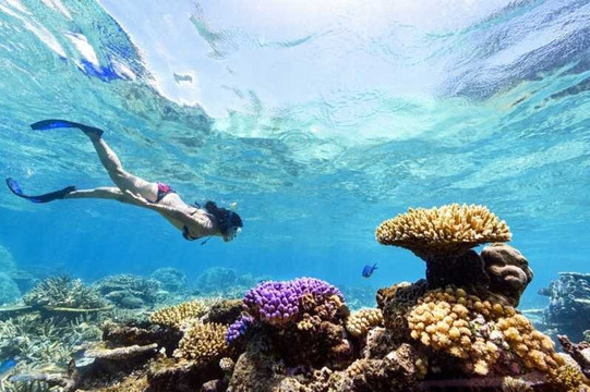 EU Tours Sharm El Sheikh