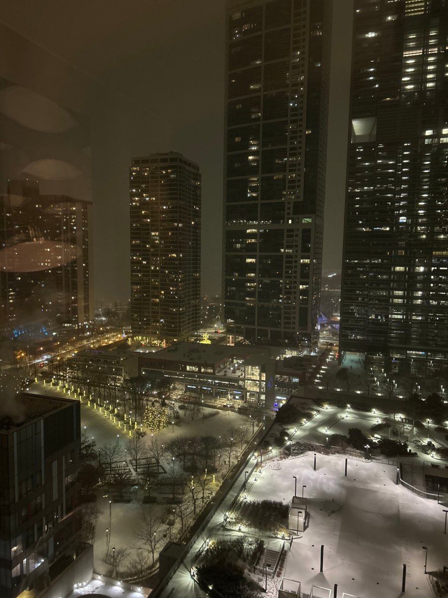 芝加哥瑞士酒店-酒店景观