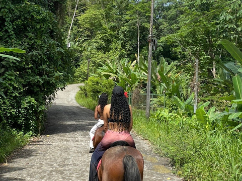 Caribe Horse Riding Club-Cocles必去景点
