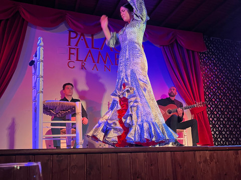 Palacio Flamenco Granada-格拉纳达必去景点