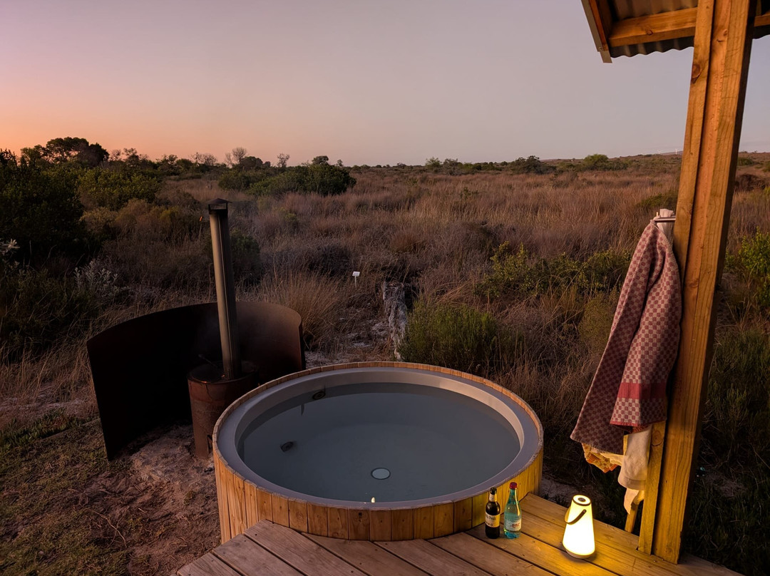 !Khwa ttu-Yzerfontein必去景点