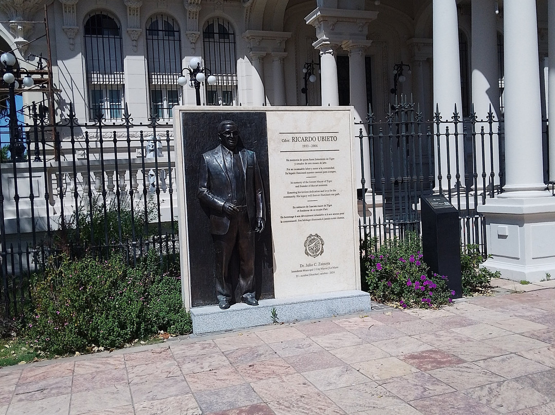 Museo de arte Tigre-蒂格雷必去景点