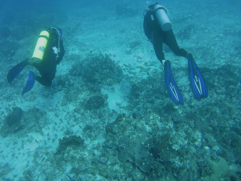 Neal Watson's Bimini Scuba Center-Alice Town必去景点