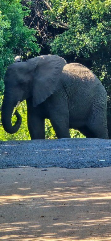 Elephant Lake Hotel-官方