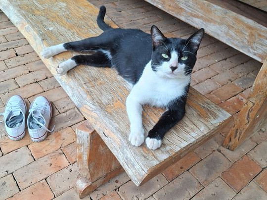 Gruta Catedral-博尼图必去景点