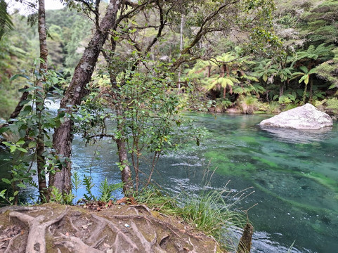 Tarawera Falls-普伦蒂湾大区必去景点