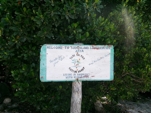 Vivi Il Kenya Con Sorriso-瓦塔木必去景点